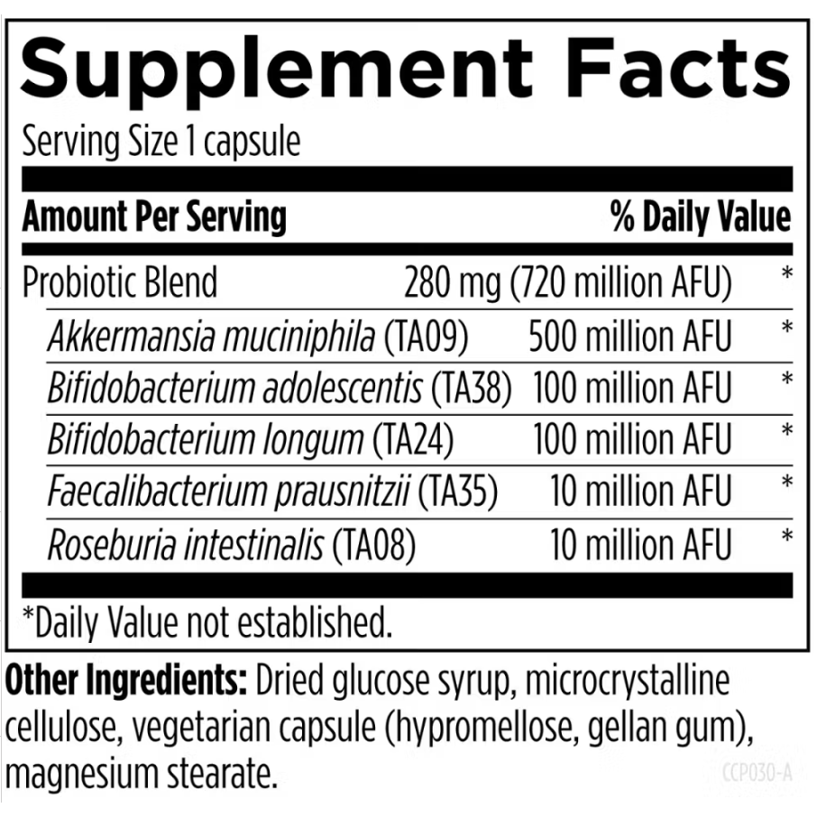 Commensal Complete - Designs for Health - Gut Rebuilding Probiotic Formula
