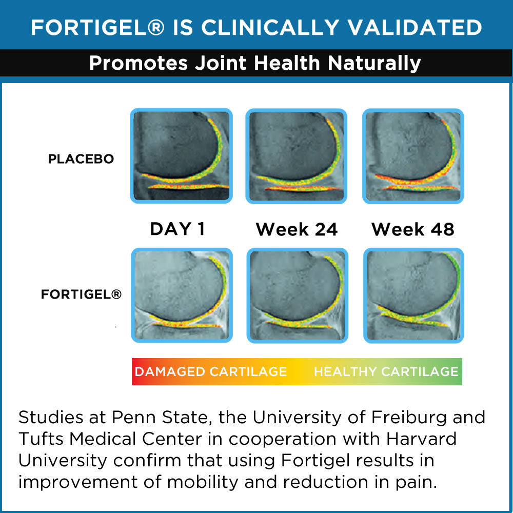 Bioactive Collagen Peptides - DNA Formulas - Grass-Fed, Paleo Keto Whole30 Friendly, Non-GMO | Hydrolyzed Protein Peptide for Maximum Absorption