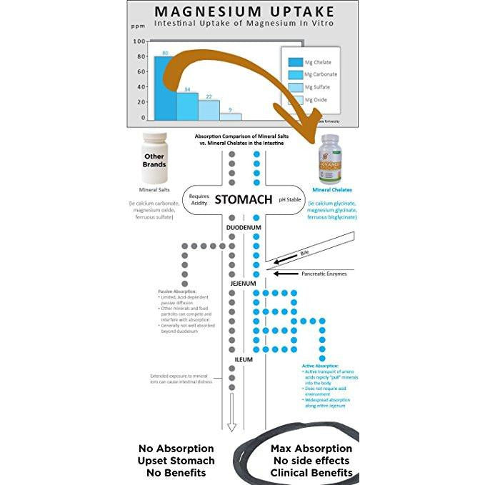 Activated Magnesium - DNA Formulas - Magnesium Citrate, Glycinate and Malate - Patented Delivery System for Maximum Absorption