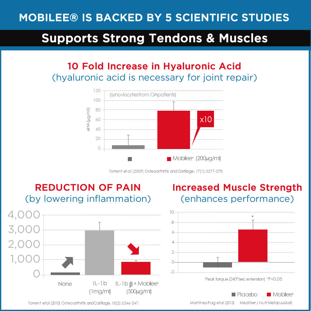 Bioactive Collagen Peptides - DNA Formulas - Grass-Fed, Paleo Keto Whole30 Friendly, Non-GMO | Hydrolyzed Protein Peptide for Maximum Absorption