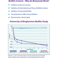Thumbnail for Biocidin® Liquid - Broad Spectrum, Detoxification & Immune Support - Bio-Botanical Research