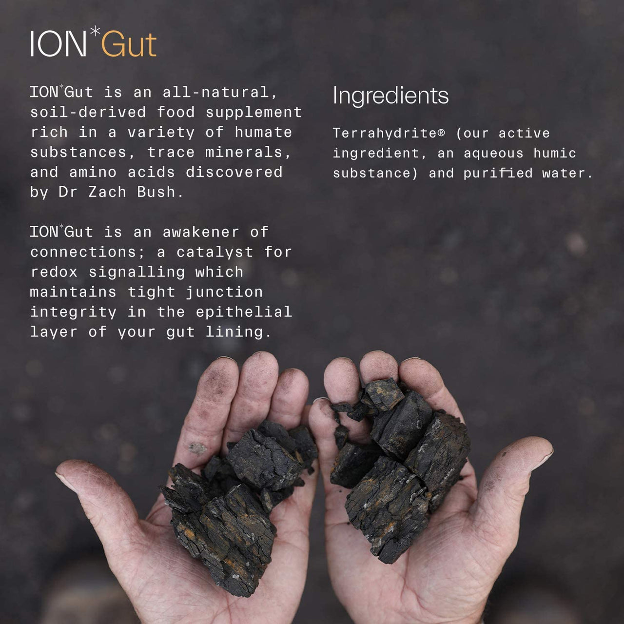 ION Biome - ION Gut Health - All-natural, non-toxic mineral supplement to support your Microbiome
